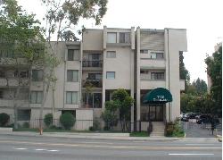 Terraces on Highland