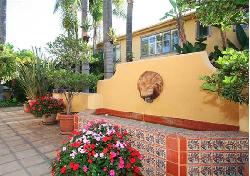 Laurel Palms