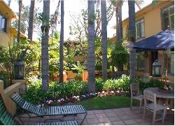 Laurel Palms