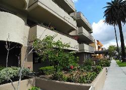 Rosewood Regency