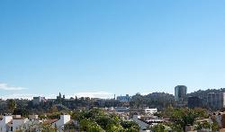 Toluca 17