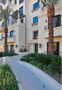443 N Palm Dr