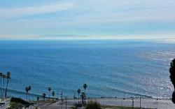 Ocean Woods Terrace