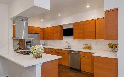 Silverview Townhomes Echo Park