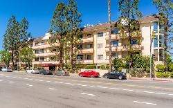 Stansbury Oaks