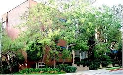 Kingswood South