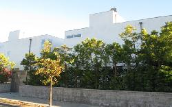 Venice Broadway Lofts