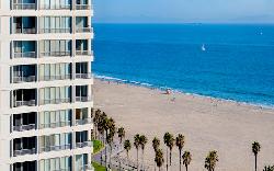 Shores, The