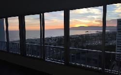 Shores, The