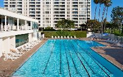 Shores, The