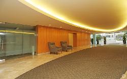 Shores, The