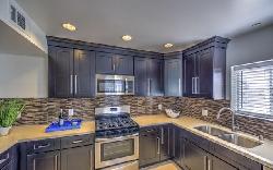 Residence at 1400 Vista, The