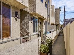 Van Ness Grove