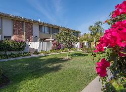 Studio Village Townhouses