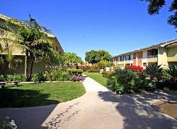 Studio Village Townhouses