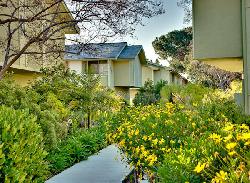 Studio Village Townhouses
