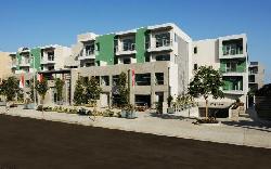 T Lofts