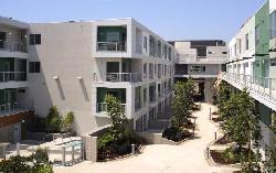 T Lofts