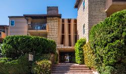 Wynnbriar, The