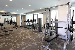 Accent Playa Vista