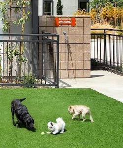 Accent Playa Vista