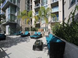NoHo 14
