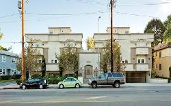 Westwood Magnolia