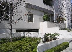 455 N Palm Dr