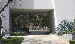 455 N Palm Dr