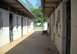 Parkside Equestrian Estates