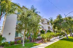 Olive Court