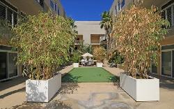 Burbank Collection