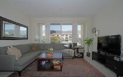 Burbank Collection