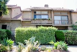 Berkeley Townhouse