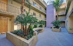 Satsuma Artist Condos