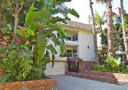 Palm, The