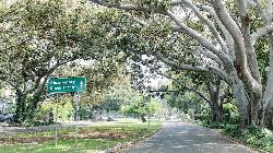 Griffith Apartments, The
