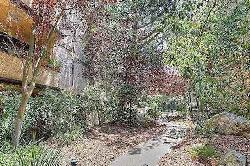 Toluca Hills
