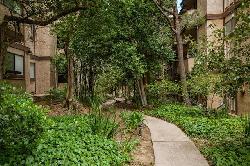 Toluca Hills