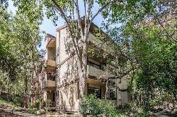 Toluca Hills