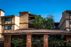 Toluca Hills