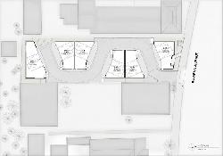 Buzz Court
