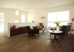 Buzz Court