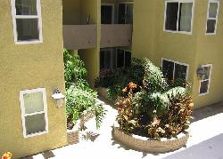 Wilshire Barrington