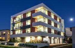 Orange Grove 938