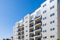 Harvard Lofts