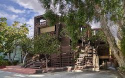 Treehouse, The