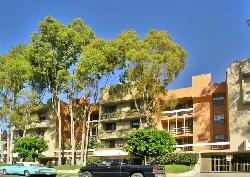 Kings Villa