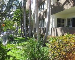 Laurel Condos