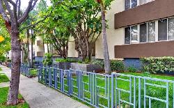 Laurel Condos